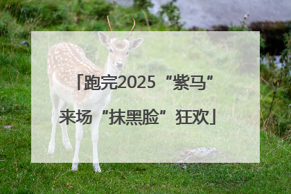跑完2025“紫马” 来场“抹黑脸”狂欢