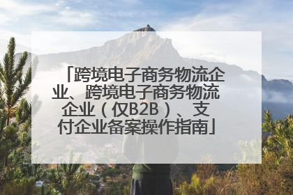 跨境电子商务物流企业、跨境电子商务物流企业（仅B2B）、支付企业备案操作指南
