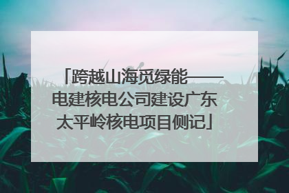 跨越山海觅绿能——电建核电公司建设广东太平岭核电项目侧记
