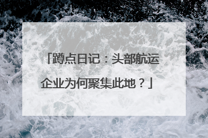 蹲点日记：头部航运企业为何聚集此地？