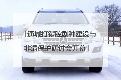 通城打锣腔剧种建设与非遗保护研讨会开幕