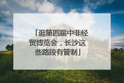 逛第四届中非经贸博览会，长沙这些路段有管制