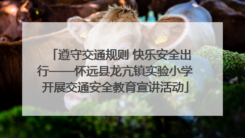 遵守交通规则 快乐安全出行——怀远县龙亢镇实验小学开展交通安全教育宣讲活动