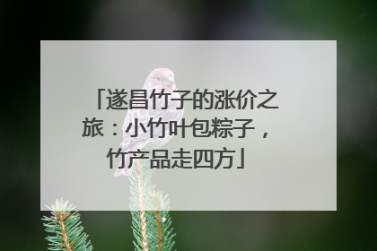 遂昌竹子的涨价之旅：小竹叶包粽子，竹产品走四方