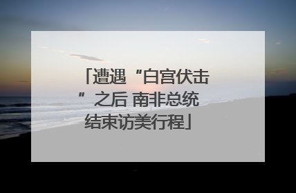 遭遇“白宫伏击”之后 南非总统结束访美行程