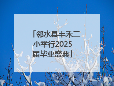邻水县丰禾二小举行2025届毕业盛典