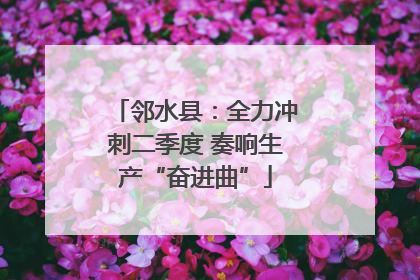 邻水县：全力冲刺二季度 奏响生产“奋进曲”