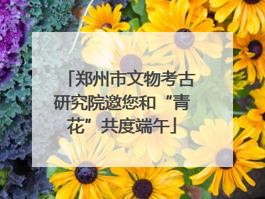 郑州市文物考古研究院邀您和“青花”共度端午