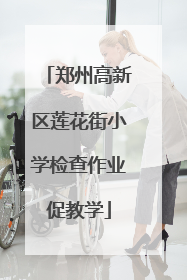 郑州高新区莲花街小学检查作业促教学