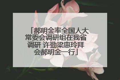 郝明金率全国人大常委会调研组在我省调研 许勤梁惠玲拜会郝明金一行