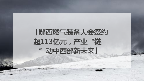 郧西燃气装备大会签约超113亿元，产业“链”动中西部新未来