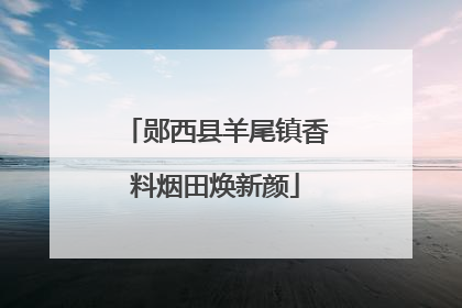郧西县羊尾镇香料烟田焕新颜