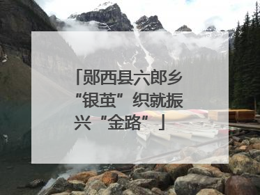 郧西县六郎乡“银茧”织就振兴“金路”