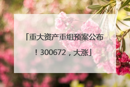 重大资产重组预案公布！300672，大涨