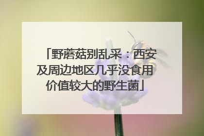 野蘑菇别乱采：西安及周边地区几乎没食用价值较大的野生菌