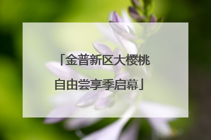 金普新区大樱桃自由尝享季启幕