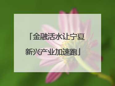金融活水让宁夏新兴产业加速跑