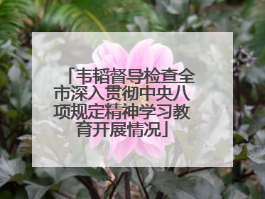 韦韬督导检查全市深入贯彻中央八项规定精神学习教育开展情况