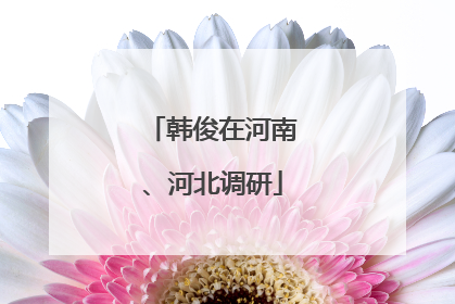 韩俊在河南、河北调研