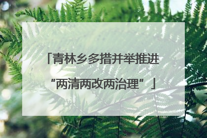 青林乡多措并举推进“两清两改两治理”