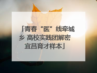 青春“医”线牵城乡 高校实践团解密宜昌育才样本