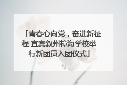 青春心向党，奋进新征程 宜宾叙州樟海学校举行新团员入团仪式