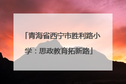 青海省西宁市胜利路小学：思政教育拓新路