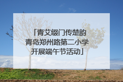 青艾缀门传楚韵 青岛郑州路第二小学开展端午节活动