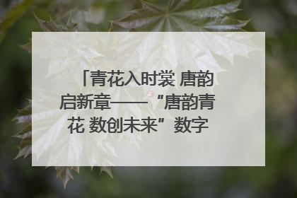 青花入时裳 唐韵启新章——“唐韵青花 数创未来”数字文创设计大赛启幕