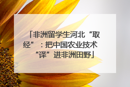 非洲留学生河北“取经”：把中国农业技术“译”进非洲田野
