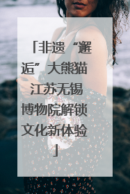 非遗“邂逅”大熊猫 江苏无锡博物院解锁文化新体验