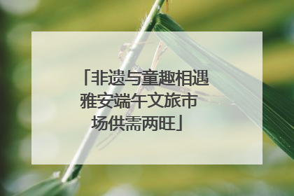 非遗与童趣相遇 雅安端午文旅市场供需两旺