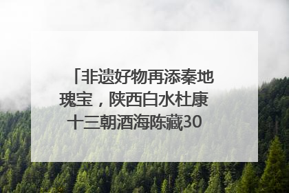非遗好物再添秦地瑰宝，陕西白水杜康十三朝酒海陈藏30年别具一格