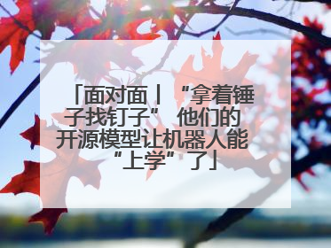 面对面丨“拿着锤子找钉子” 他们的开源模型让机器人能“上学”了