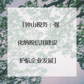 钟山税务：强化纳税信用建设护航企业发展