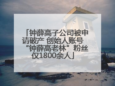 钟薛高子公司被申请破产 创始人账号“钟薛高老林”粉丝仅1800余人