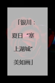 银川：夏日“塞上湖城”美如画