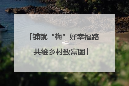 铺就“梅”好幸福路 共绘乡村致富图
