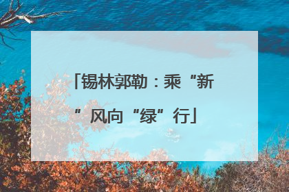 锡林郭勒：乘“新”风向“绿”行