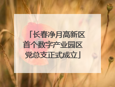 长春净月高新区首个数字产业园区党总支正式成立