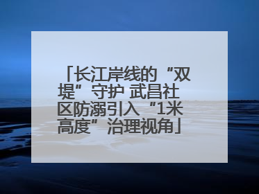 长江岸线的“双堤”守护 武昌社区防溺引入“1米高度”治理视角