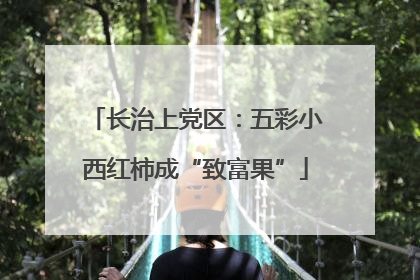 长治上党区：五彩小西红柿成“致富果”