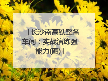 长沙南高铁整备车间：实战演练强能力(图)