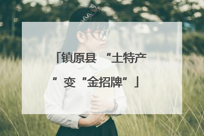 镇原县 “土特产”变“金招牌”