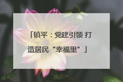 镇平：党建引领 打造居民“幸福里”