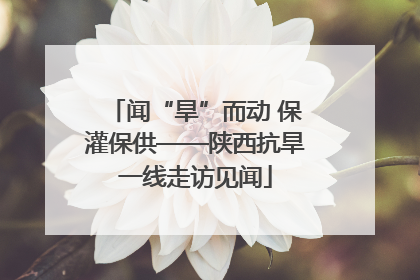 闻“旱”而动 保灌保供——陕西抗旱一线走访见闻