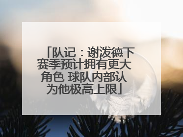 队记：谢泼德下赛季预计拥有更大角色 球队内部认为他极高上限