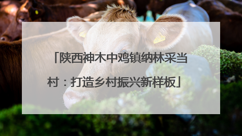 陕西神木中鸡镇纳林采当村：打造乡村振兴新样板