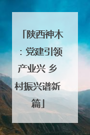 陕西神木：党建引领产业兴 乡村振兴谱新篇