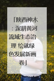 陕西神木：深耕黄河流域生态治理 绘就绿色发展新画卷